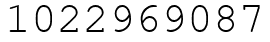 Число 1022969087.