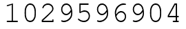 Число 1029596904.