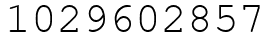 Число 1029602857.