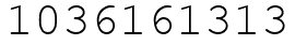 Число 1036161313.