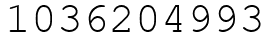 Число 1036204993.