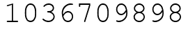 Число 1036709898.