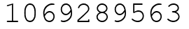 Число 1069289563.