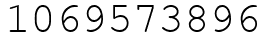 Число 1069573896.