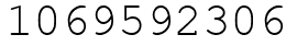 Число 1069592306.
