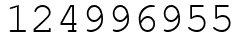 Число 124996955.