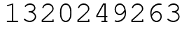 Число 1320249263.