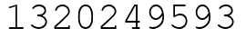Число 1320249593.