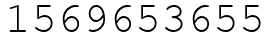 Число 1569653655.