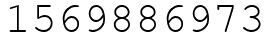 Число 1569886973.