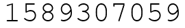 Число 1589307059.