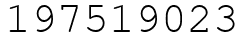Число 197519023.