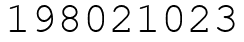 Число 198021023.