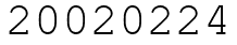 Число 20020224.