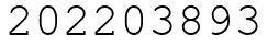 Число 202203893.