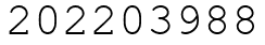 Число 202203988.