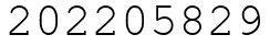 Число 202205829.