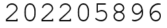 Число 202205896.