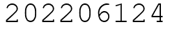 Число 202206124.