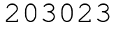 Число 203023.