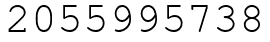 Число 2055995738.