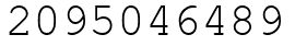 Число 2095046489.
