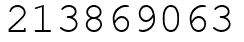 Число 213869063.