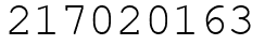 Число 217020163.