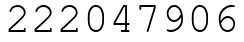 Число 222047906.