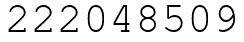 Число 222048509.