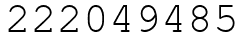 Число 222049485.