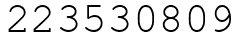 Число 223530809.