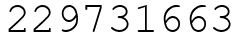 Число 229731663.