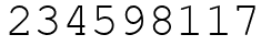 Число 234598117.