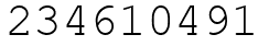 Число 234610491.