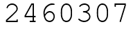 Число 2460307.