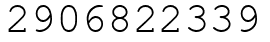 Число 2906822339.