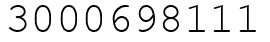 Число 3000698111.
