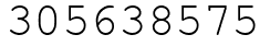 Число 305638575.