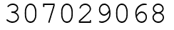 Число 307029068.