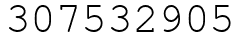 Число 307532905.