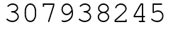 Число 307938245.