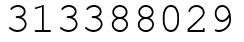 Число 313388029.