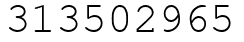 Число 313502965.