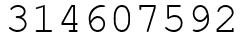 Число 314607592.