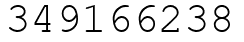 Число 349166238.