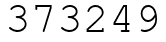 Число 373249.