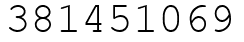 Число 381451069.