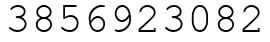 Число 3856923082.