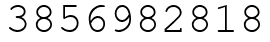 Число 3856982818.